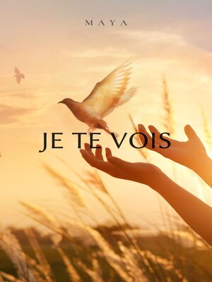 cover image of Je te vois